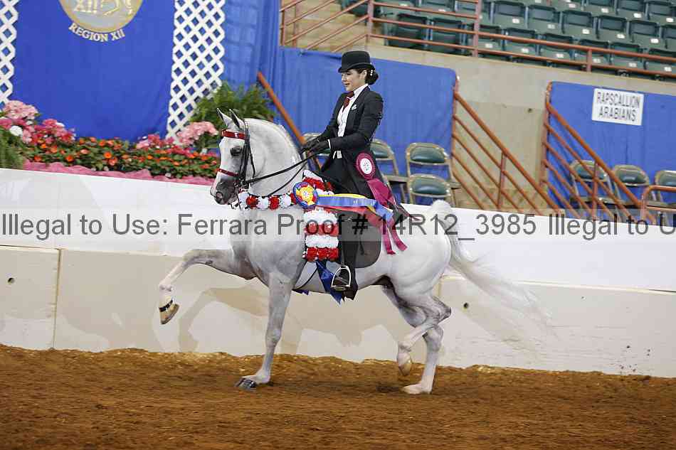 Proof 14r12_3985