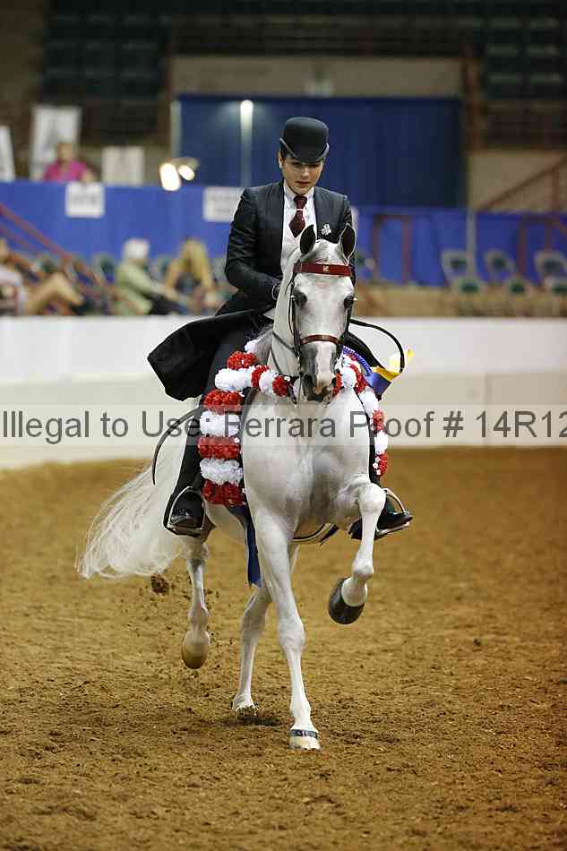 Proof 14r12_3989