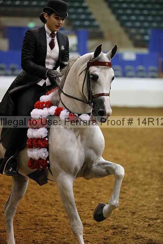 Proof 14r12_3990