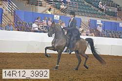 14r12_3992 proof