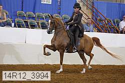 14r12_3994 proof