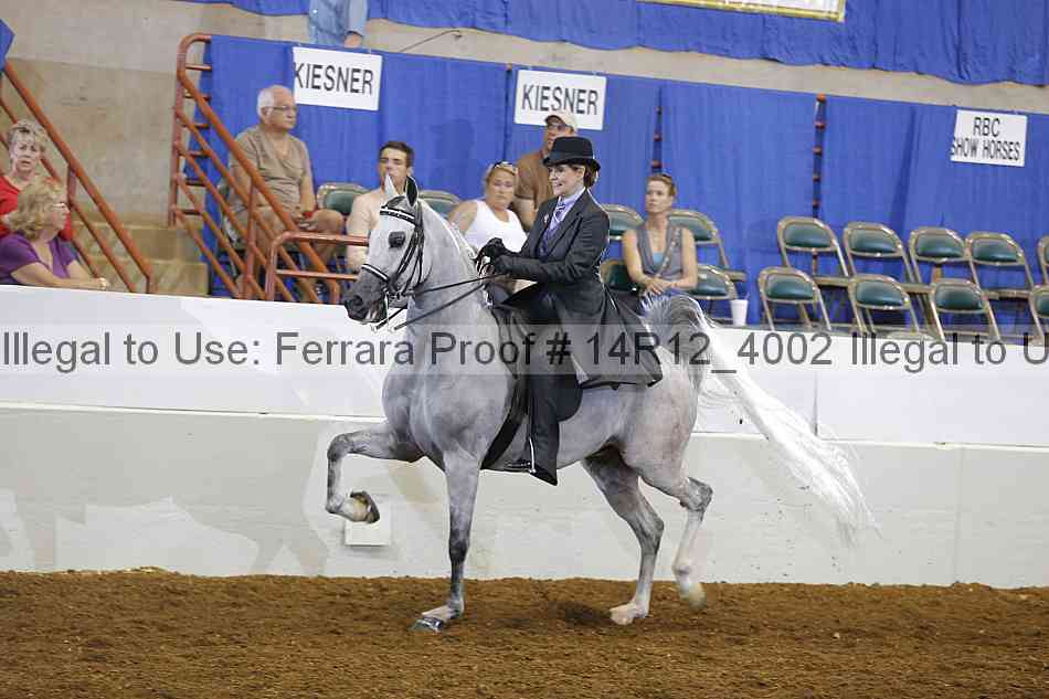 Proof 14r12_4002