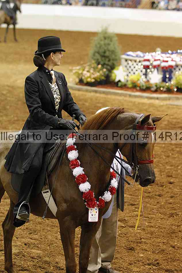 Proof 14r12_4015