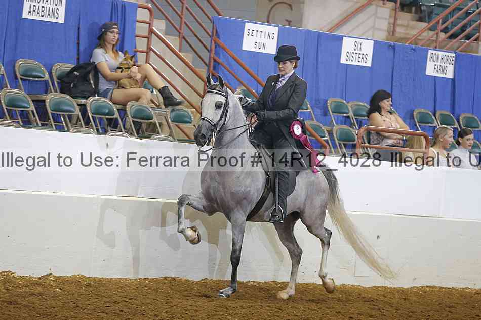 Proof 14r12_4028