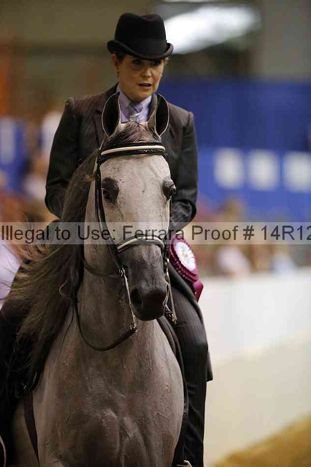 Proof 14r12_4034