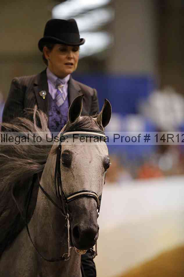 Proof 14r12_4035