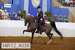 14r12_4036 proof