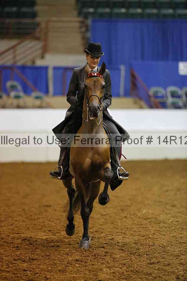 Proof 14r12_4041