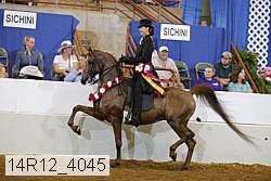 14r12_4045 proof