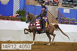 14r12_4050 proof