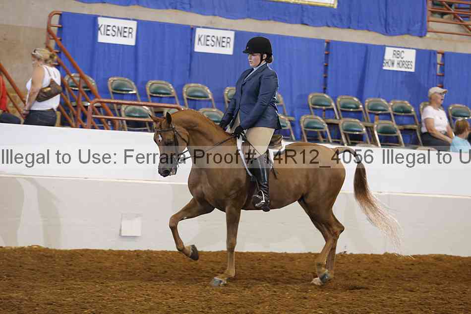 Proof 14r12_4056