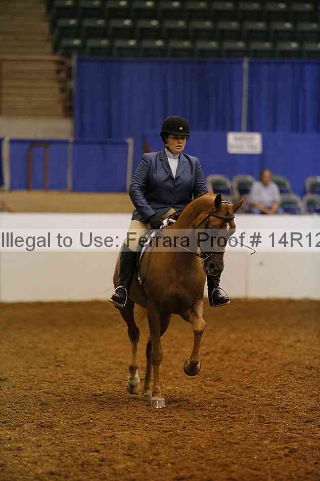 Proof 14r12_4063