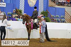 14r12_4080 proof