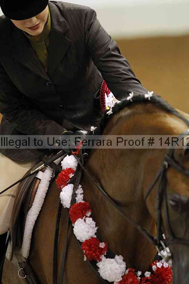 Proof 14r12_4081