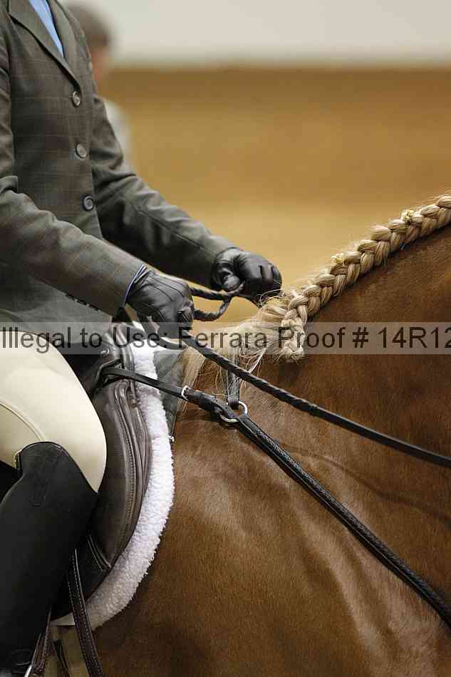Proof 14r12_4089