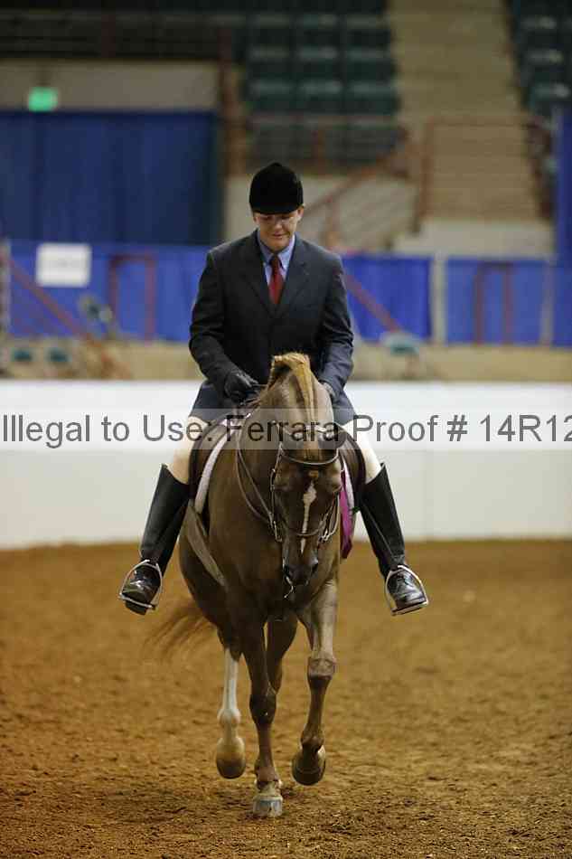Proof 14r12_4096