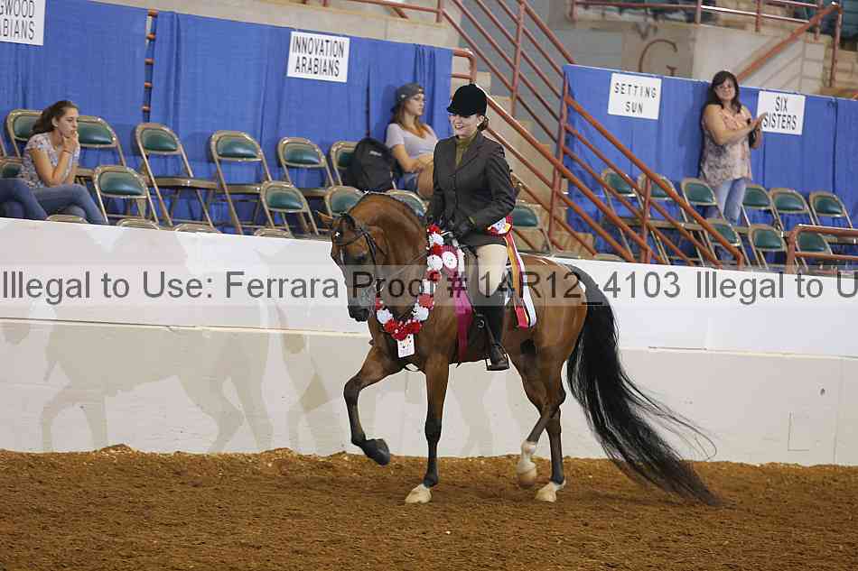 Proof 14r12_4103
