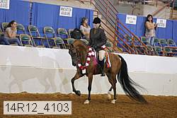 14r12_4103 proof
