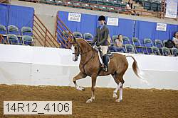 14r12_4106 proof