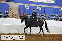 14r12_4203 proof
