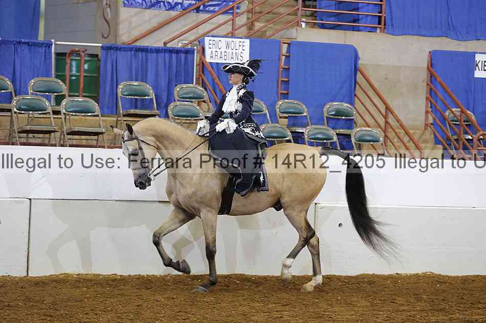 Proof 14r12_4205