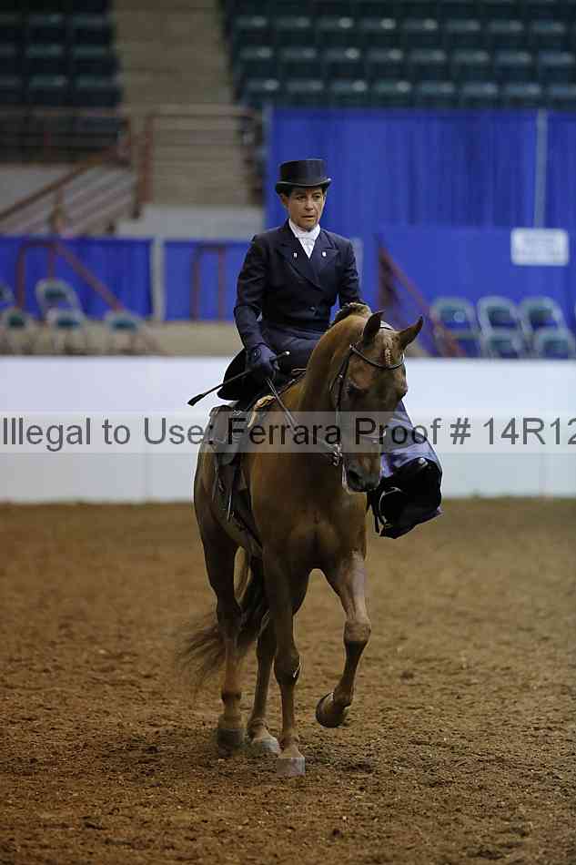 Proof 14r12_4206