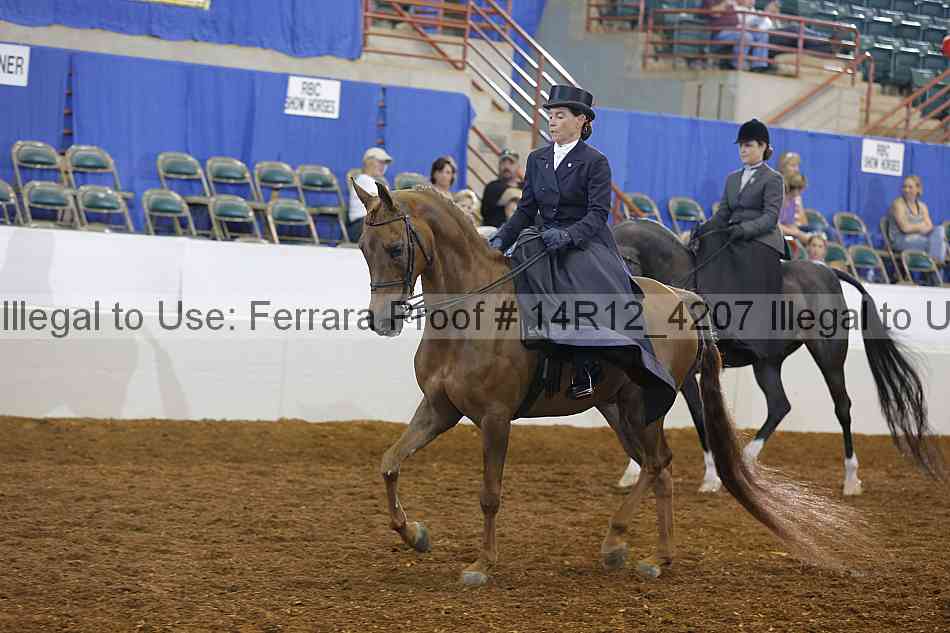 Proof 14r12_4207