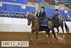 14r12_4207 proof