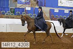 14r12_4208 proof
