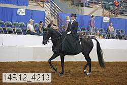 14r12_4213 proof