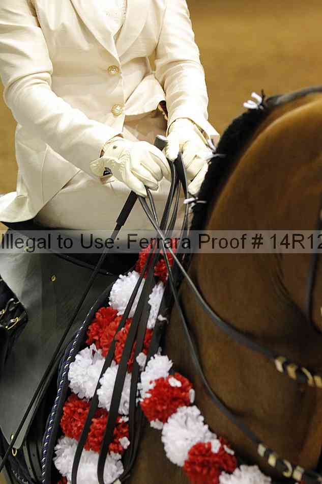 Proof 14r12_4236