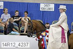 14r12_4237 proof