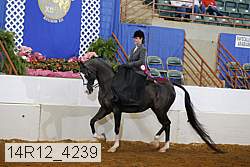 14r12_4239 proof