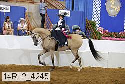 14r12_4245 proof