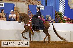 14r12_4254 proof