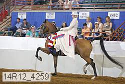 14r12_4259 proof