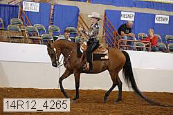 14r12_4265 proof