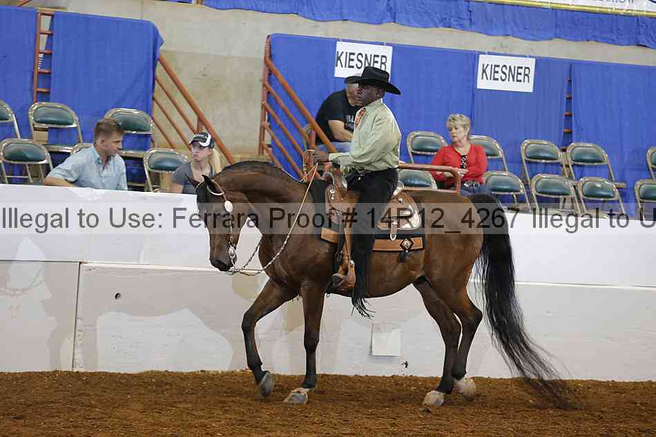 Proof 14r12_4267
