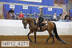 14r12_4271 proof