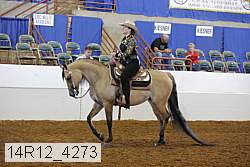 14r12_4273 proof