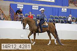 14r12_4281 proof