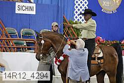 14r12_4294 proof