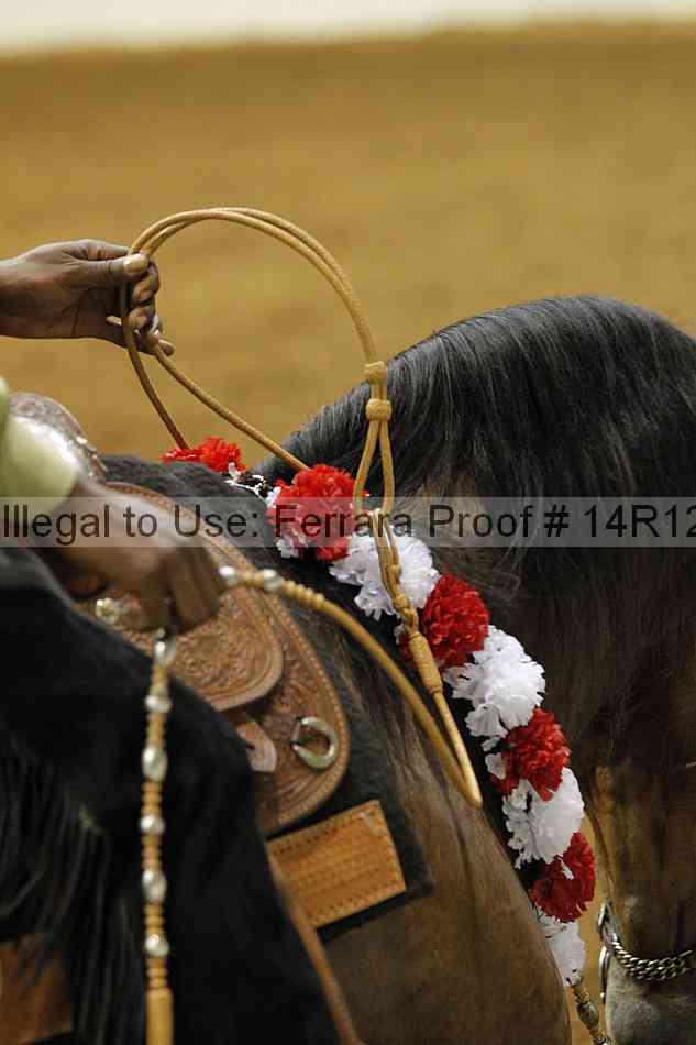 Proof 14r12_4300