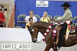 14r12_4301 proof