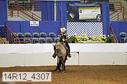 14r12_4307 proof