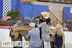 14r12_4324 proof