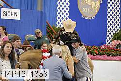 14r12_4338 proof
