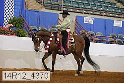 14r12_4370 proof
