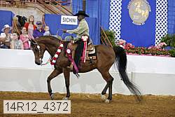 14r12_4372 proof