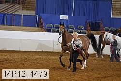 14r12_4479 proof